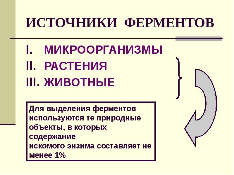 Презентация по ферментам