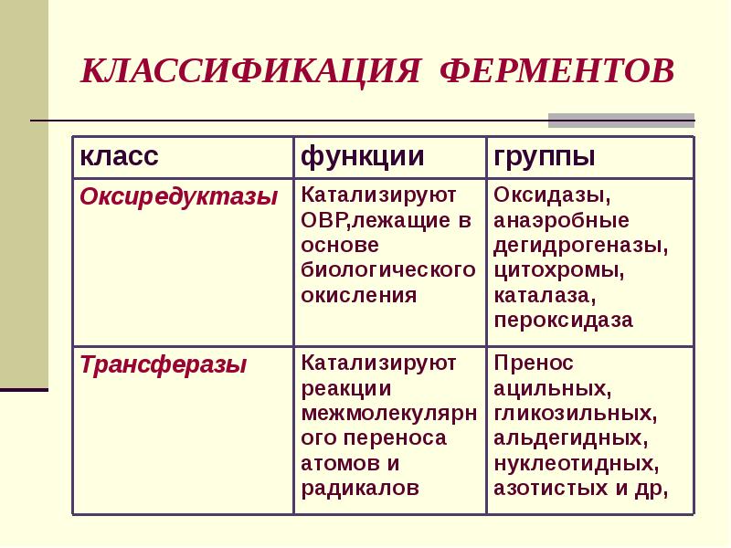 Производство ферментов презентация