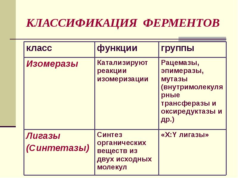 Презентация по ферментам