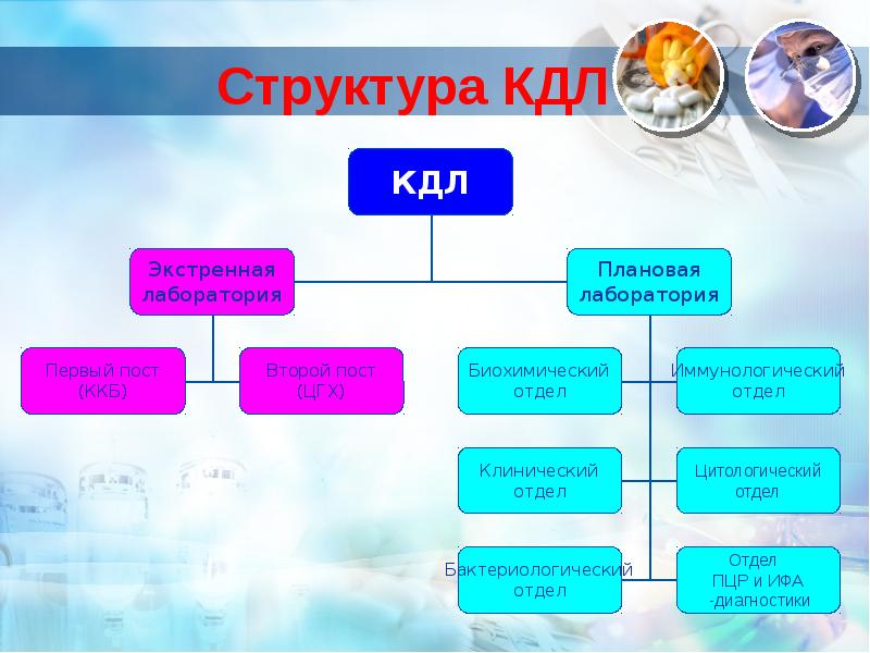 План бактериологической лаборатории