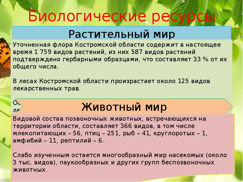 Заповедники костромской области презентация