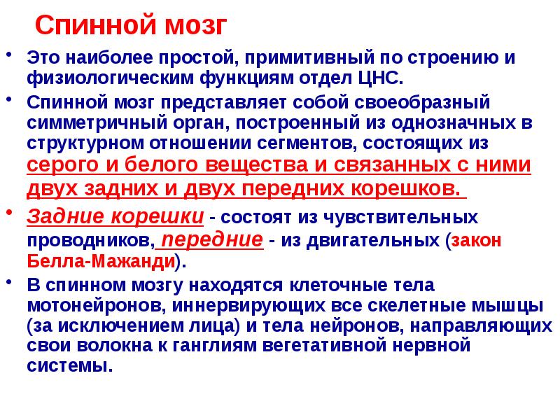Спинной мозг
Это наиболее простой, примитивный по строению и физиологическим функциям Спинной мозг
Это наиболее простой, примитивный по строению и физиологическим функциям