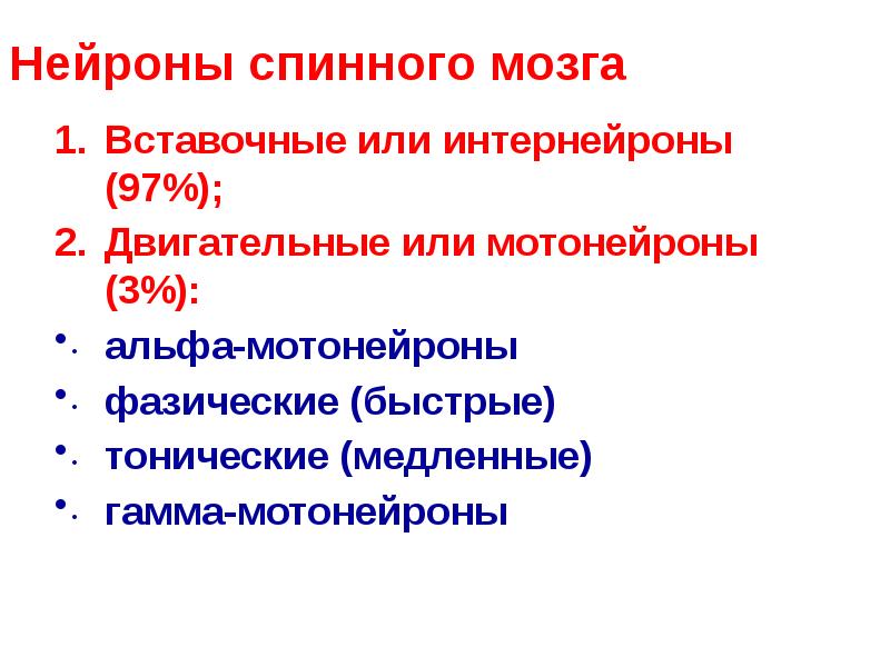 Нейроны спинного мозга
Вставочные или интернейроны (97%);
Двигательные или мотонейроны Нейроны спинного мозга
Вставочные или интернейроны (97%);
Двигательные или мотонейроны