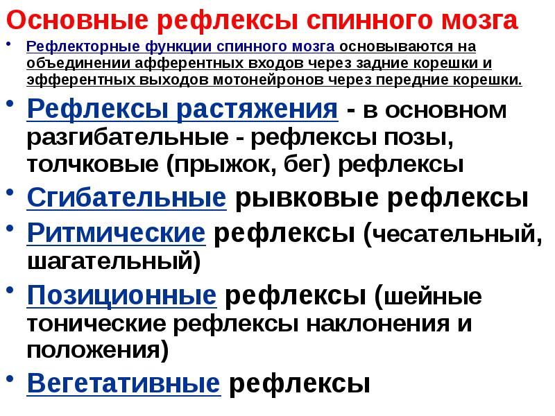 Основные рефлексы спинного мозга
Рефлекторные функции спинного мозга основываются на объединении Основные рефлексы спинного мозга
Рефлекторные функции спинного мозга основываются на объединении