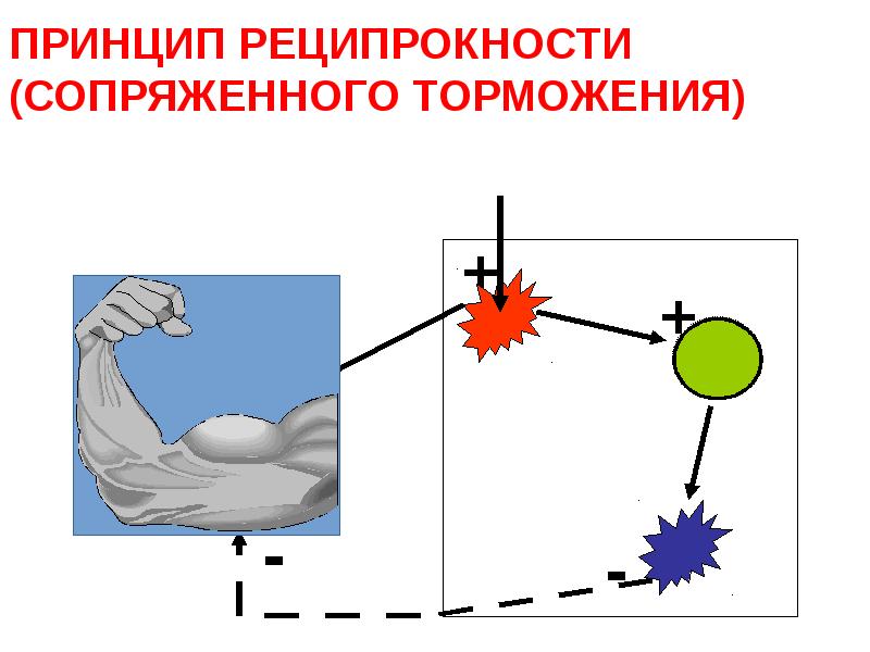 ПРИНЦИП РЕЦИПРОКНОСТИ (СОПРЯЖЕННОГО ТОРМОЖЕНИЯ) ПРИНЦИП РЕЦИПРОКНОСТИ (СОПРЯЖЕННОГО ТОРМОЖЕНИЯ)
