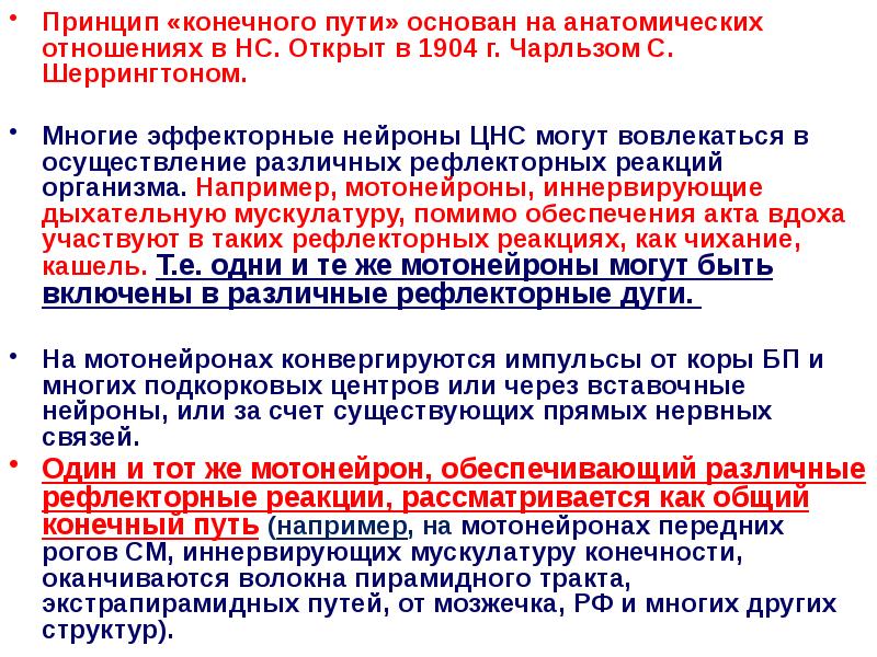 Принцип «конечного пути» основан на анатомических отношениях в НС. Открыт в Принцип «конечного пути» основан на анатомических отношениях в НС. Открыт в