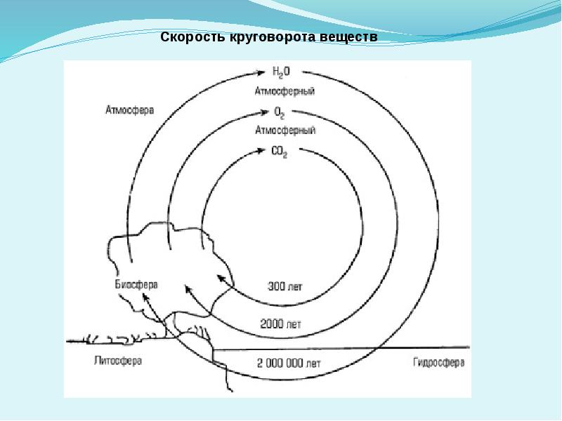 Место человека в биосфере презентация