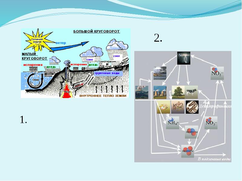 Биогеохимические циклы презентация