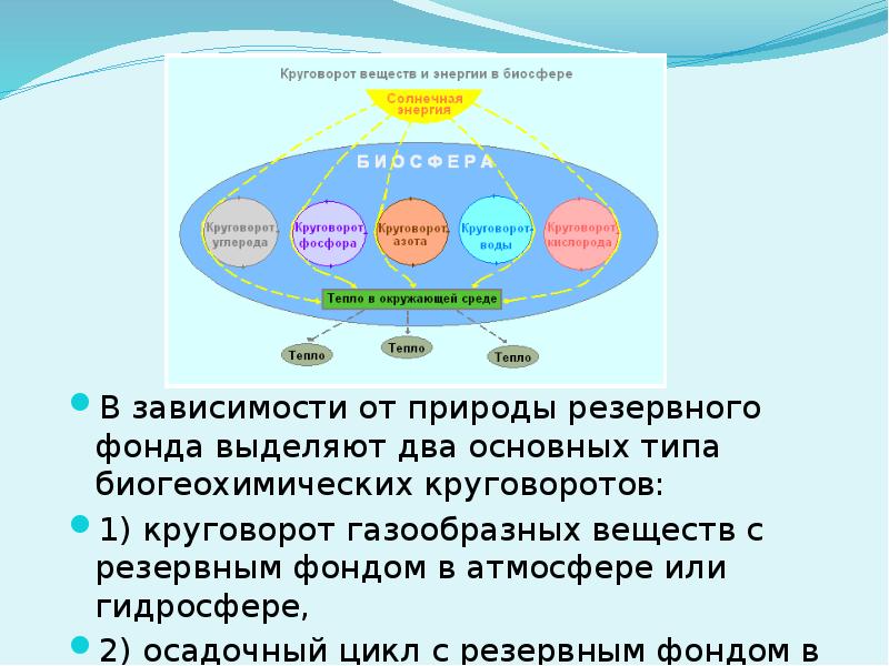 Биогеохимические процессы в биосфере презентация 11 класс