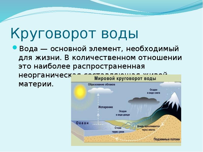 Биогеохимический цикл воды схема