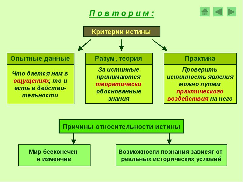 Обществознание 10 класс презентация