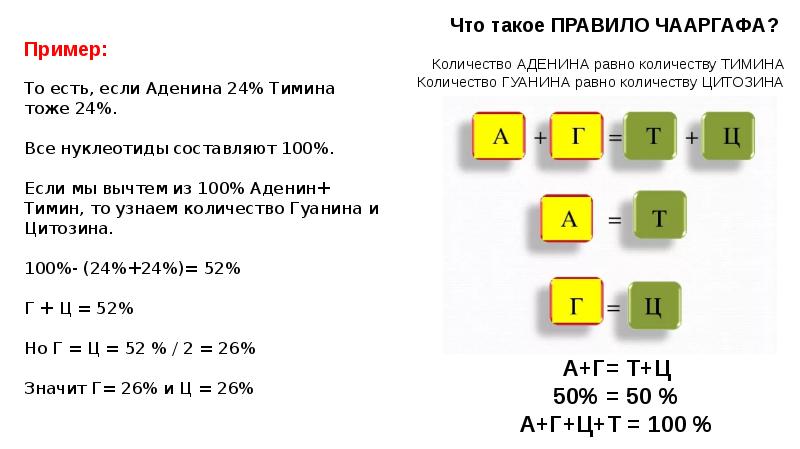 Составить 100. Количества аденина равняется количество. Чему равняется количество аденина. Количество аденина 43 чему равно количество гуанина.