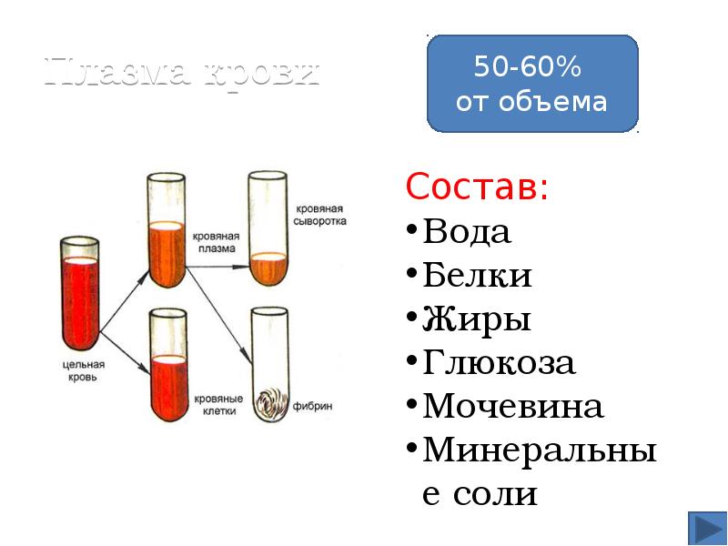 Объем в составе составляет. Состав крови и состав сыворотки плазма. Состав плазмы и сыворотки крови. Состав крови состав сыворотки плазмы крови. Состав плазмы крови человека сыворотка.