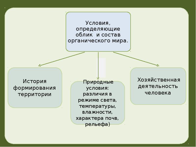 Определить облик