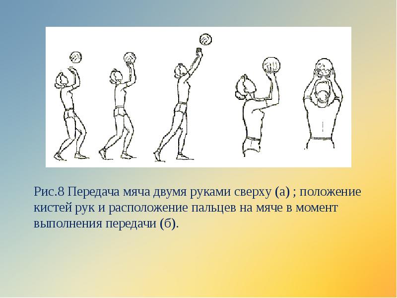 Верхний рисунок 7. Передача мяча(сверху двумя руками ,снизу двумя руками в волейболе. Передача мяча двумя руками сбоку в волейболе. Передача мяча двумя руками сверху в баскетболе. Передача меча сверху двумя руками