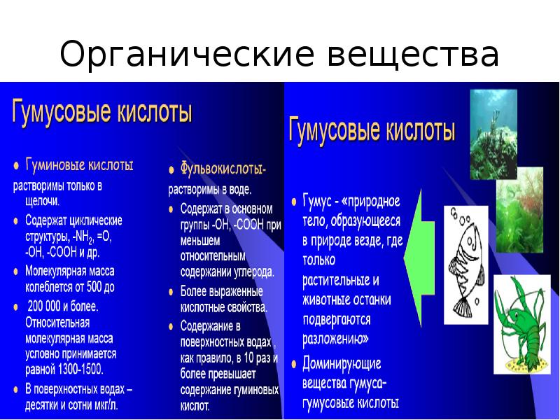 Типология водных объектов презентация