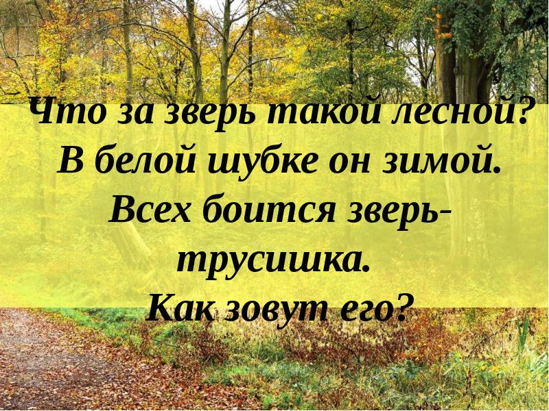 Читать не бойся зверя. Кто живет в лесу. Кто живет у нас в лесу.