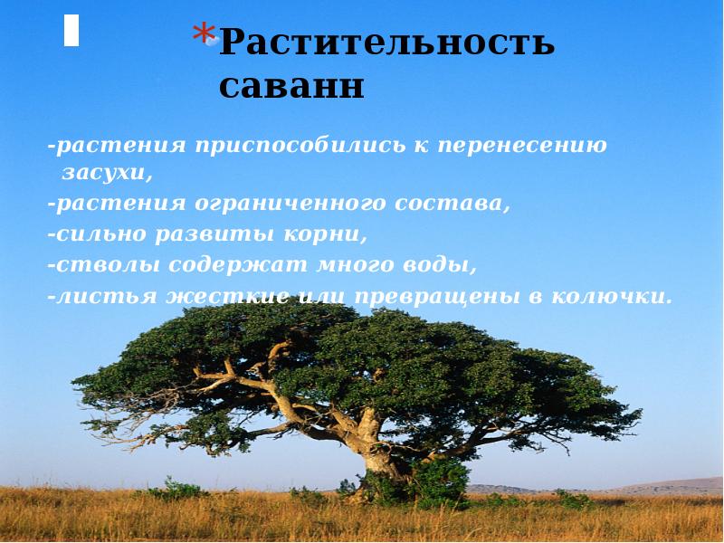 Презентация на тему жизнь в тропическом поясе 5 класс