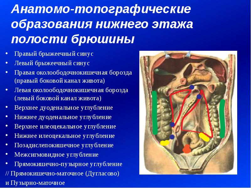 Нижнее образование