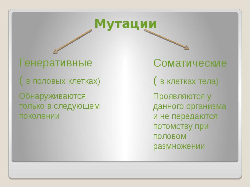 Мутации биология 10 класс