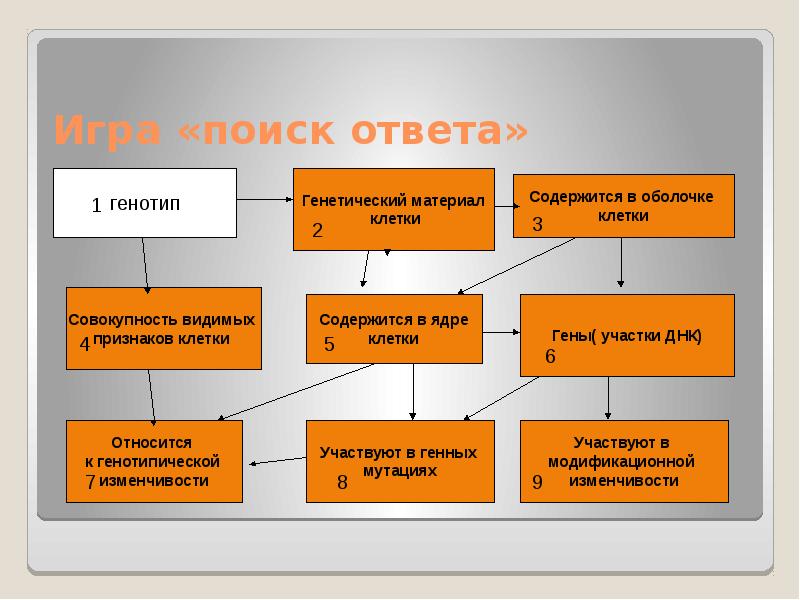 Презентация виды изменчивости 10 класс биология