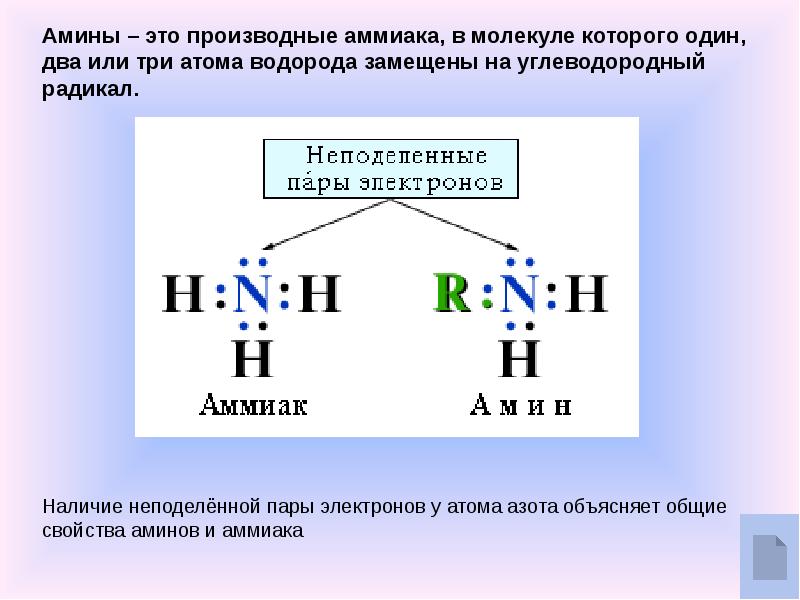 Амины презентация 10 класс профильный уровень