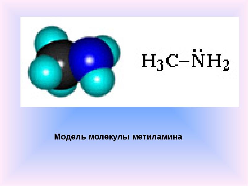 Амины презентация по химии