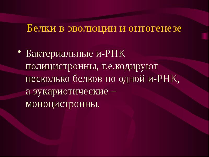 Полицистронная рнк. Эволюция белков. . ИРНК бактерий полицистронны. Эволюция белки. Моноцистронная и полицистронная.