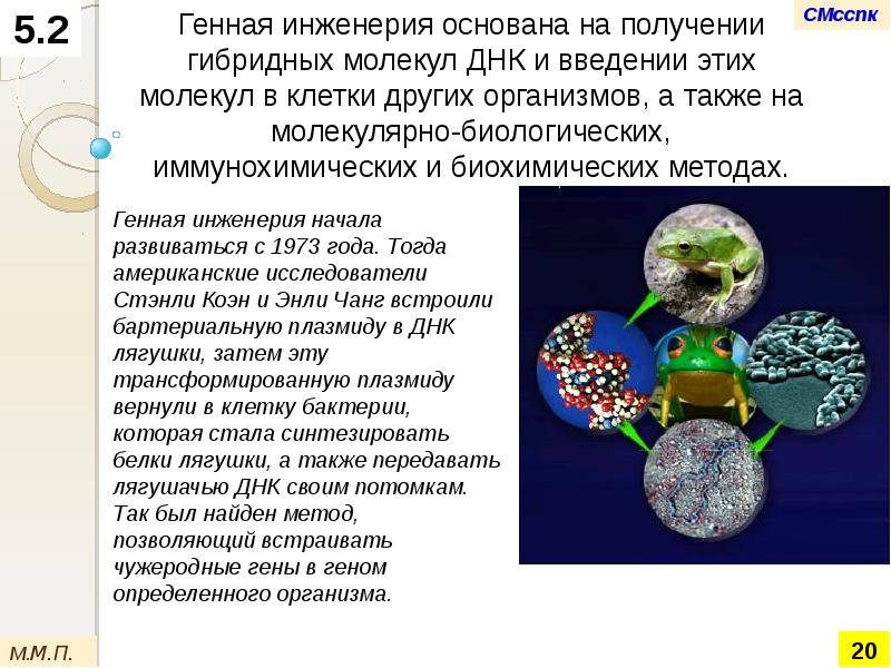 Генетическая инженерия растений презентация