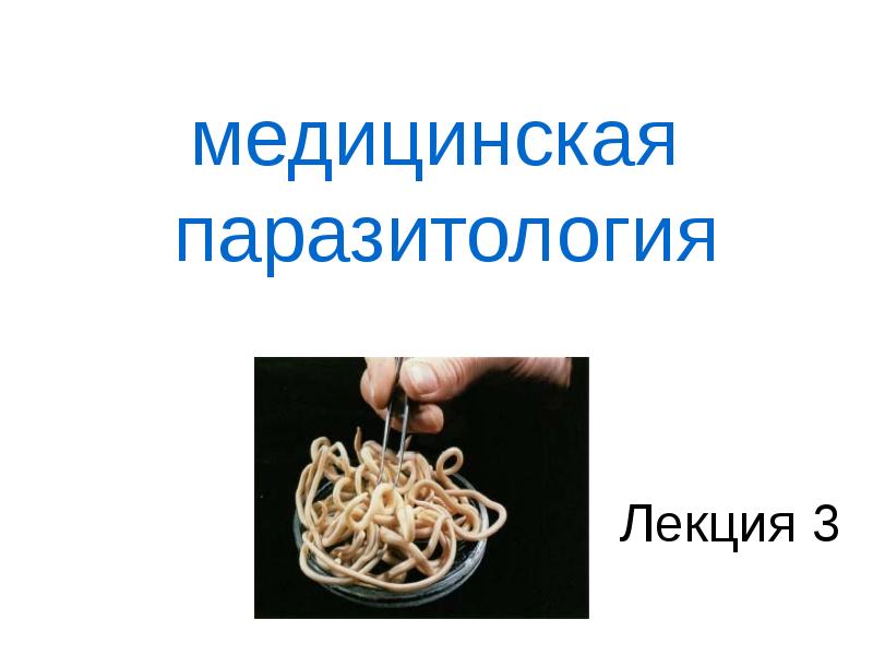 Паразитология картинки для презентации