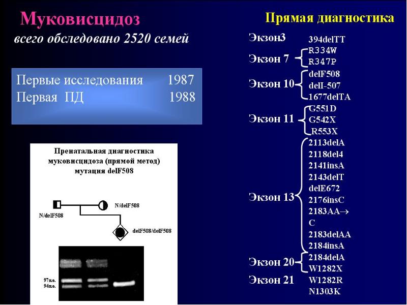 Муковисцидоз презентация генетика