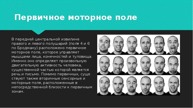 Моторное поле это