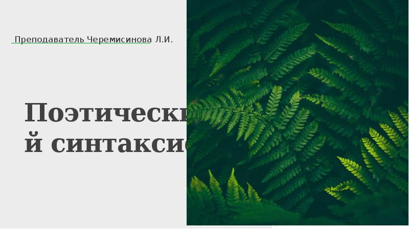 Поэтический синтаксис Преподаватель Черемисинова Л.И.