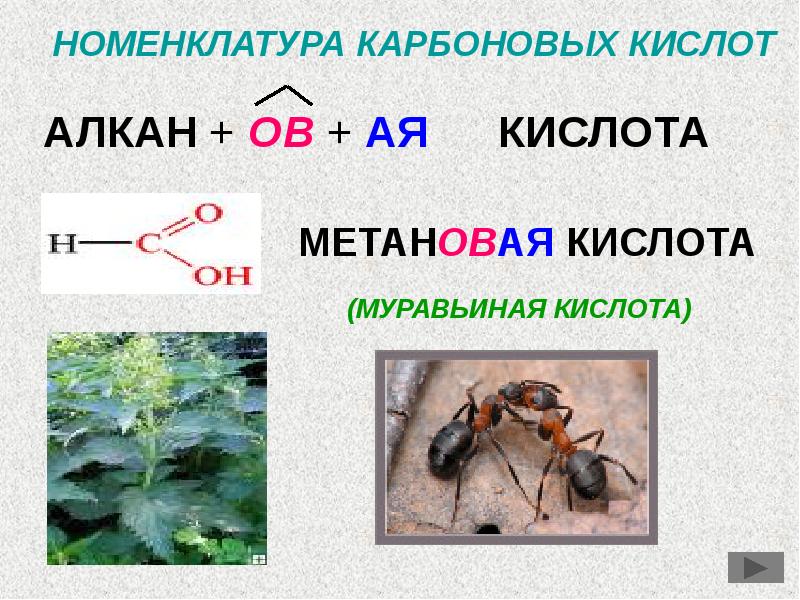 Презентация на тему муравьиная кислота