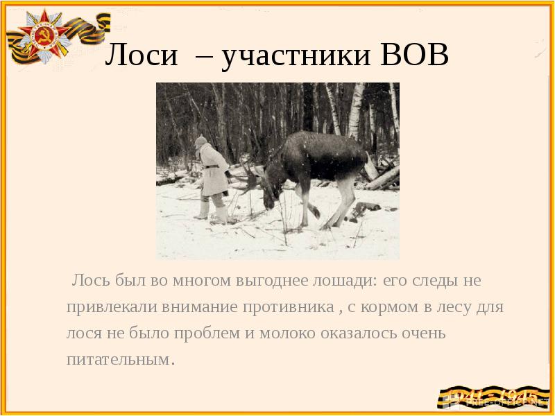 Животные участники великой отечественной войны 1941 1945 презентация