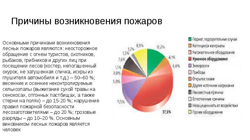 Причины возникновения пожаров. Основные причины возникновения лесных пожаров. Статистика возникновения пожаров. Причины возникновения пожаров статистика. Причины возникновения лесных пожаров диаграмма.