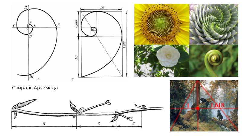 Спираль архимеда презентация