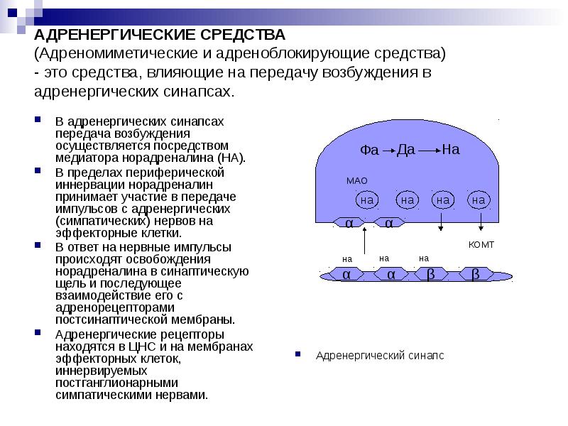 Адренергические средства фармакология презентация