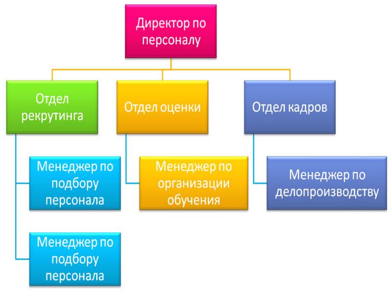 Кадровое обеспечение проекта