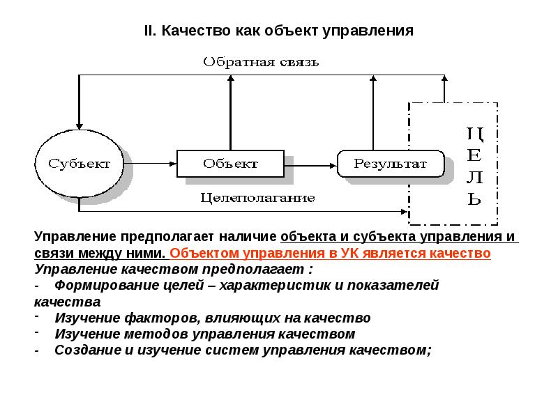 Субъект проекта это определение