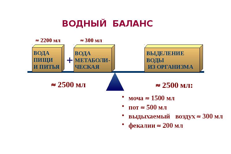 Водно электролитный баланс презентация