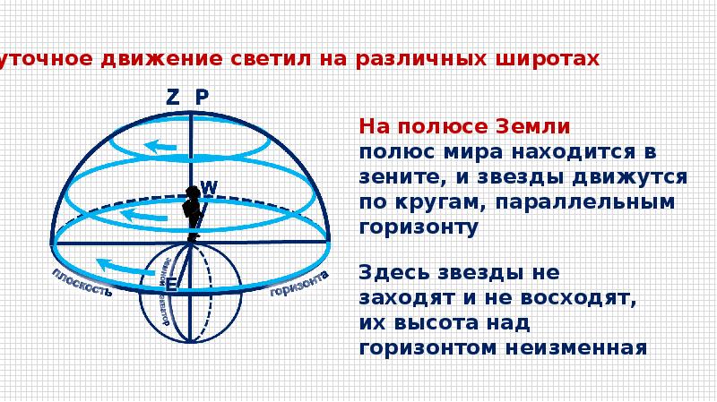 На рисунке изображено суточное движение светил на полюсе земли подпишите где находится точка надира