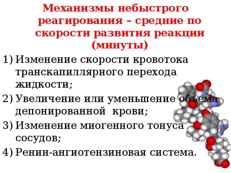 Формирование реакции. Механизмы быстрого, небыстрого и медленного реагирования ад..