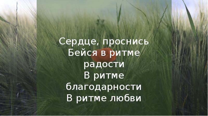 Сердце встало. Сердце Проснись. Встань Пробудись мой сердечный друг.