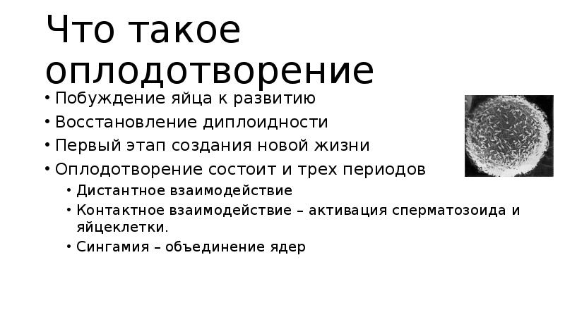 Что такое оплодотворение. Оплодотворение. Что такоетоплодотворение. Контактное взаимодействие оплодотворение. Оплодотворение это процесс в результате которого происходит.