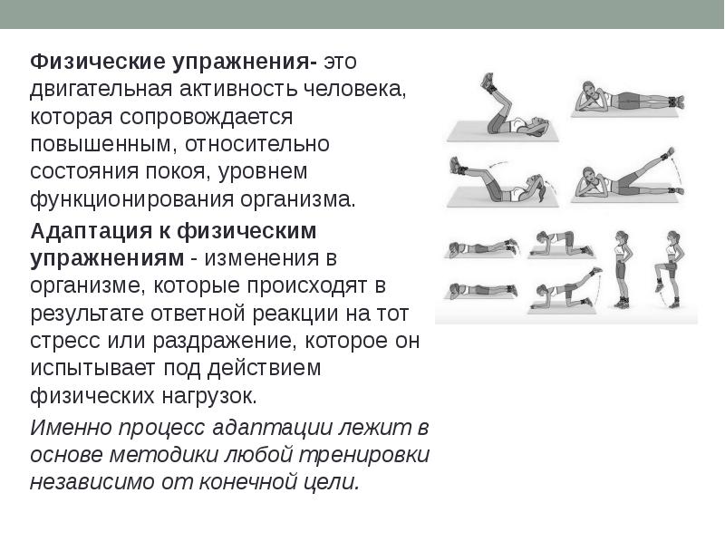 Адаптация к физическим упражнениям на разных возрастных этапах презентация