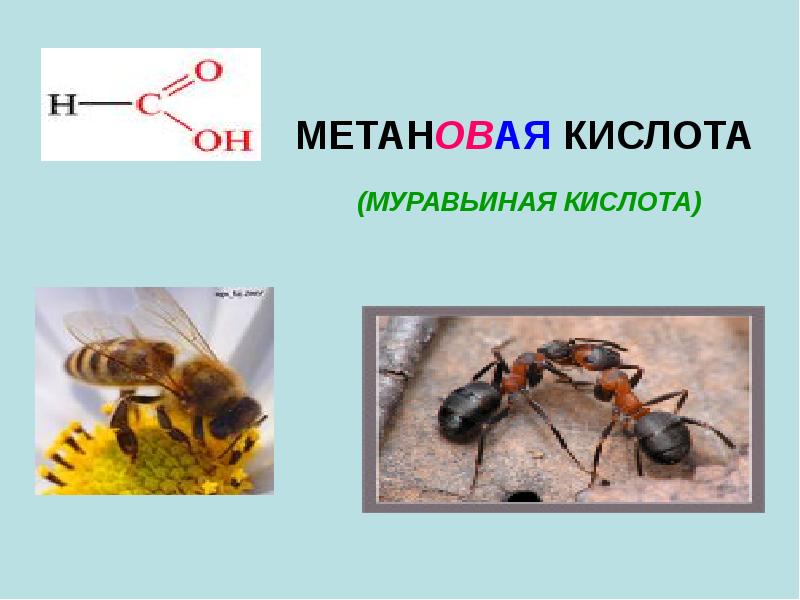 Метановая муравьиная кислота. Метановая кислота муравьиная кислота. Формула метановая кислота в химии. Метановая кислота структурная формула.