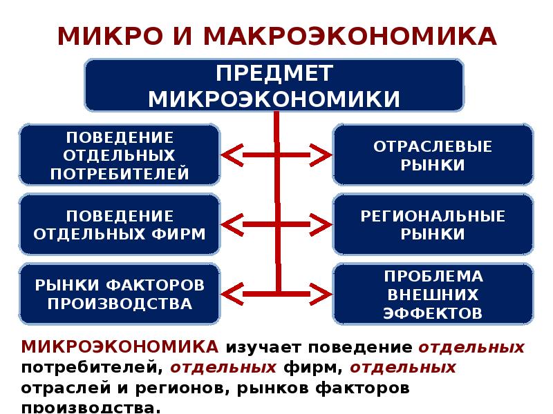 Макроэкономика план егэ обществознание