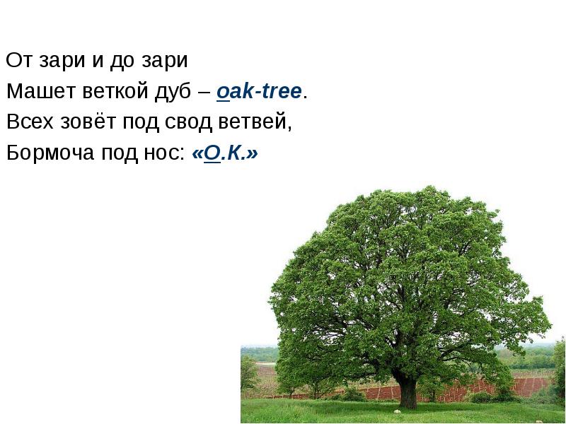 Прочитай дубы дуб круг. От зари до зари. Английский дуб ветка. Составь предложение от зари до зари. От зари до зари 2 класс.