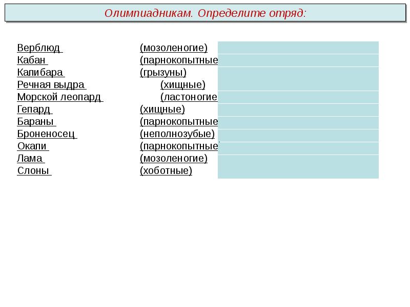 Отряд конкретный. Тип и отряд как различить.